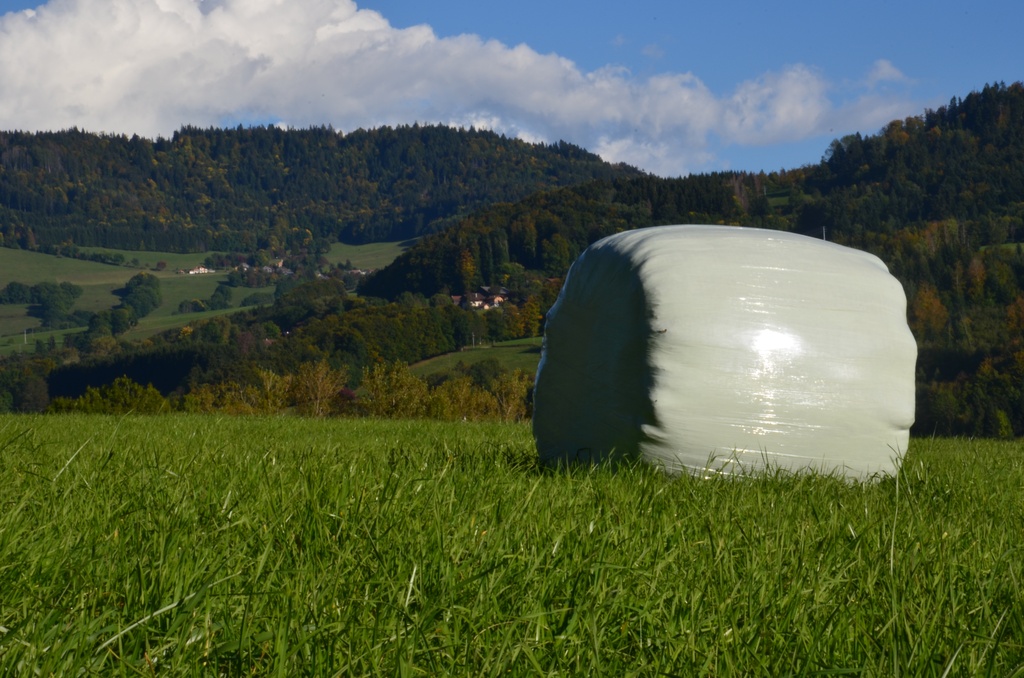 2017-09-23 Boëge/DSC_0175.JPG